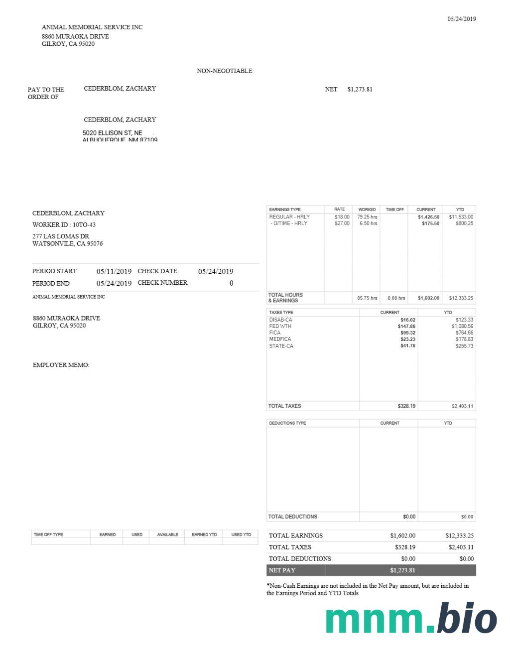 Animal Memorial Service INC pay stub template w formatach Word i PDF